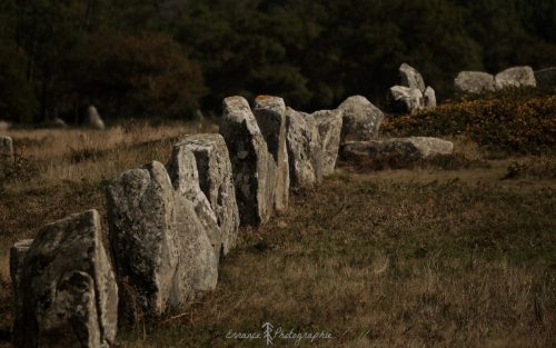 DSC_1161_638