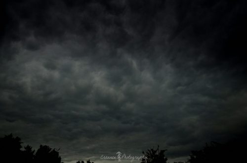 DSC_1172_642
