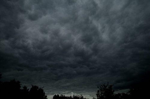 DSC_1173_643