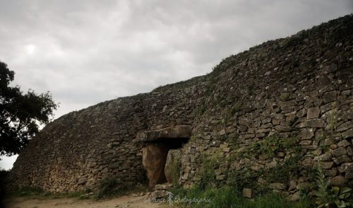 DSC_1180_644