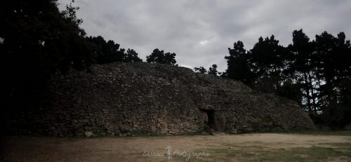 DSC_1207_657