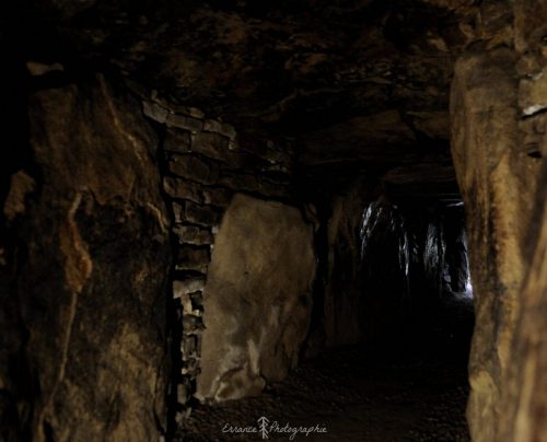 DSC_1215_660