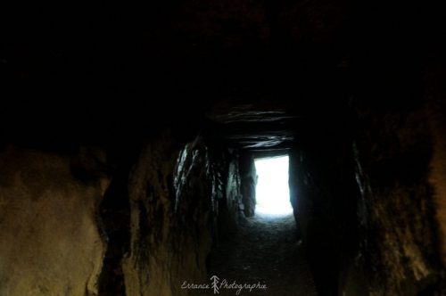 DSC_1218_661