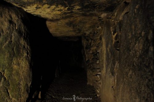 DSC_1223_663